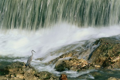 Photo de la sainte baume