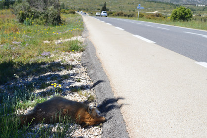 MISE A  JOUR  en cours