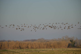 cam_2313-copie.jpg