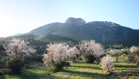 Photo de la sainte baume