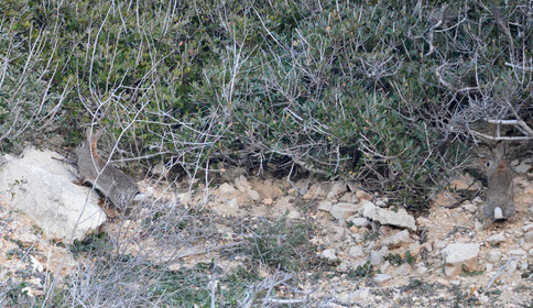 MISE A  JOUR  en cours