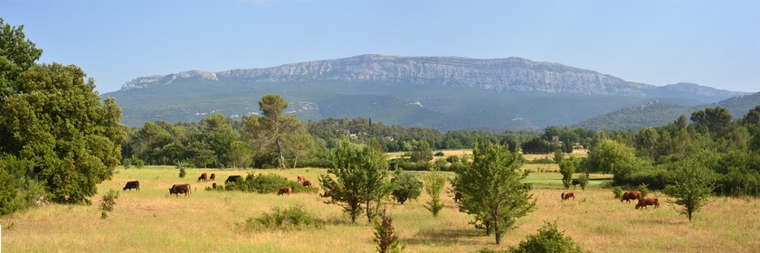 Photo de la sainte baume