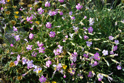 MISE A  JOUR  en cours