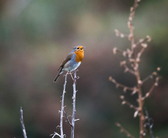 MISE A  JOUR  en cours