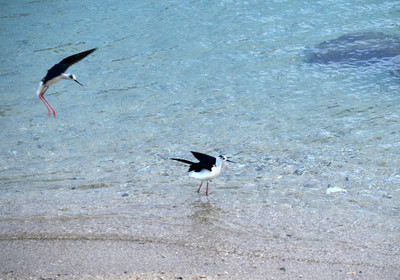 MISE A  JOUR  en cours