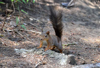 MISE A  JOUR  en cours