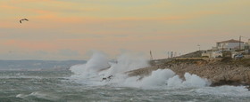 site-fev_3985-copie-2.jpg
