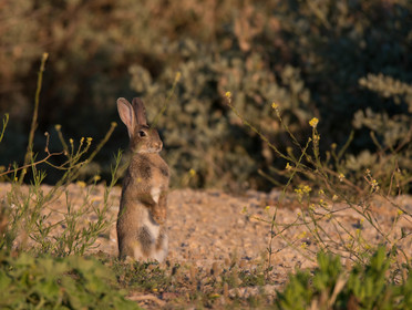 MISE A  JOUR  en cours