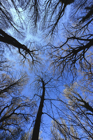 Photo de la sainte baume