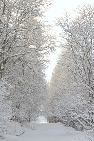 ALPES DE HAUTE PROVENCE
