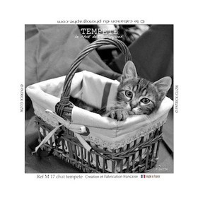 COLLECTION MAGNETIQUE&nbsp;MAGNET MARSEILLE et CALANQUE ,PROVENCE&nbsp; ........