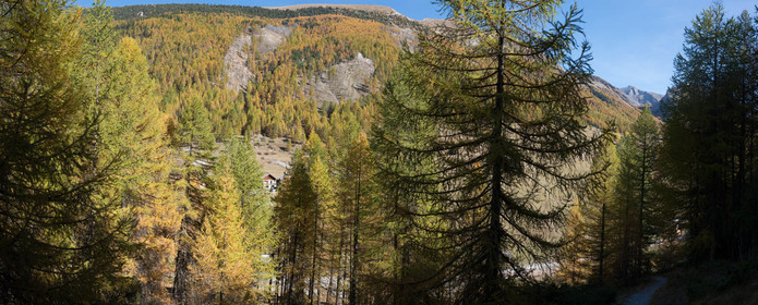 montagne haute alpes ,queyras, mercantour,alpes de haute provence,alpes maritime