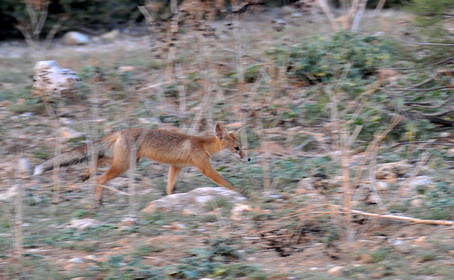 MISE A  JOUR  en cours