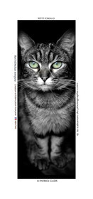 COLLECTION MAGNETIQUE&nbsp;MAGNET MARSEILLE et CALANQUE ,PROVENCE&nbsp; ........