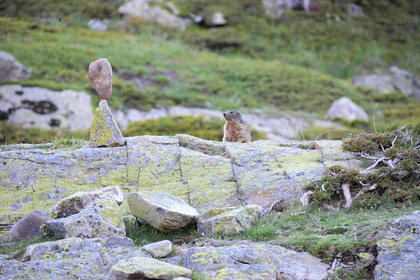 MISE A  JOUR  en cours