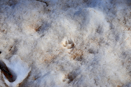 MISE A  JOUR  en cours