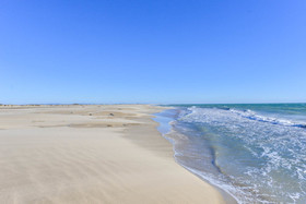 dsc_1814.jpg