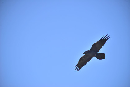 MISE A  JOUR  en cours