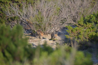 MISE A  JOUR  en cours