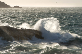 mistral 9 janvier