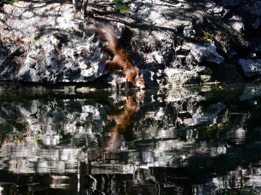 MISE A  JOUR  en cours