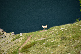 ubaye-alpes-vens-3073.jpg