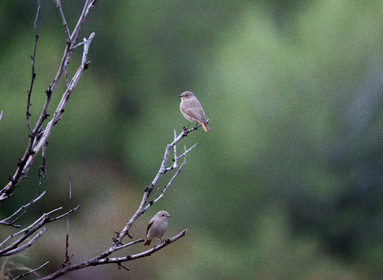 MISE A  JOUR  en cours