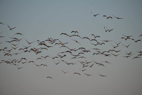 cam_2318-copie.jpg