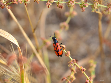 MISE A  JOUR  en cours