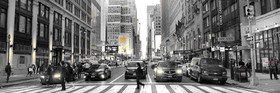 Selection format 20X60 cm