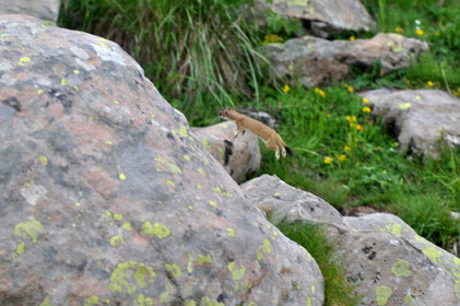 MISE A  JOUR  en cours