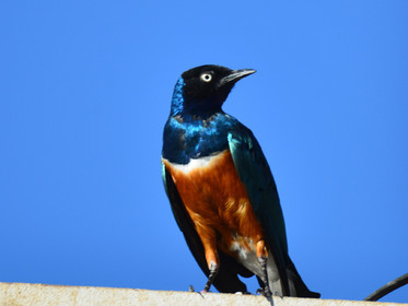 MISE A  JOUR  en cours