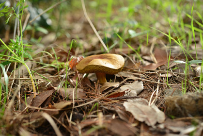 MISE A  JOUR  en cours