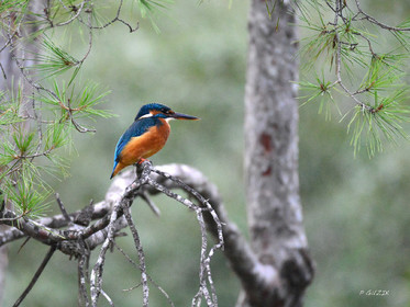 MISE A  JOUR  en cours