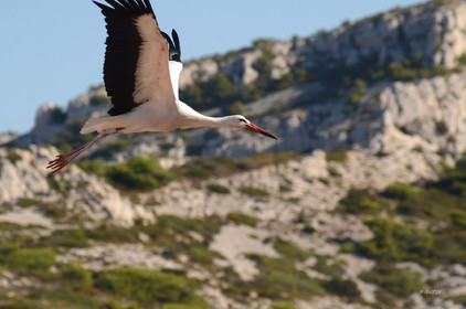 MISE A  JOUR  en cours