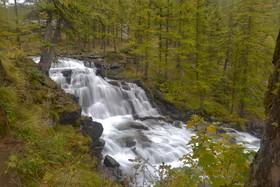 DANS LE QUEYRAS