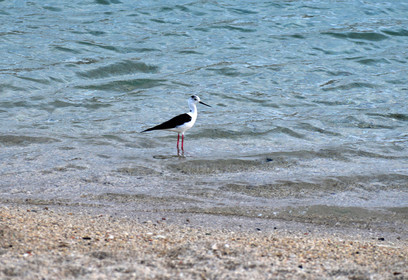 MISE A  JOUR  en cours