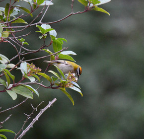 MISE A  JOUR  en cours