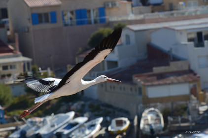 MISE A  JOUR  en cours