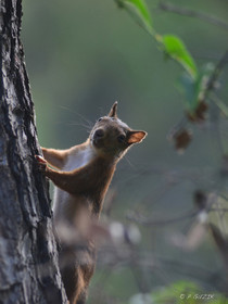 MISE A  JOUR  en cours